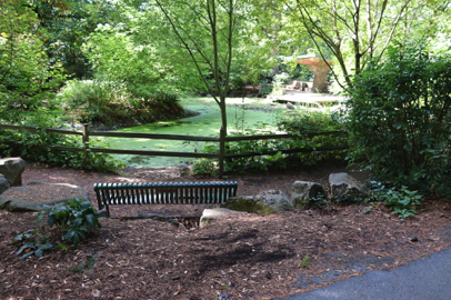 Woodland pond – natural surface – railing – bench – shelter